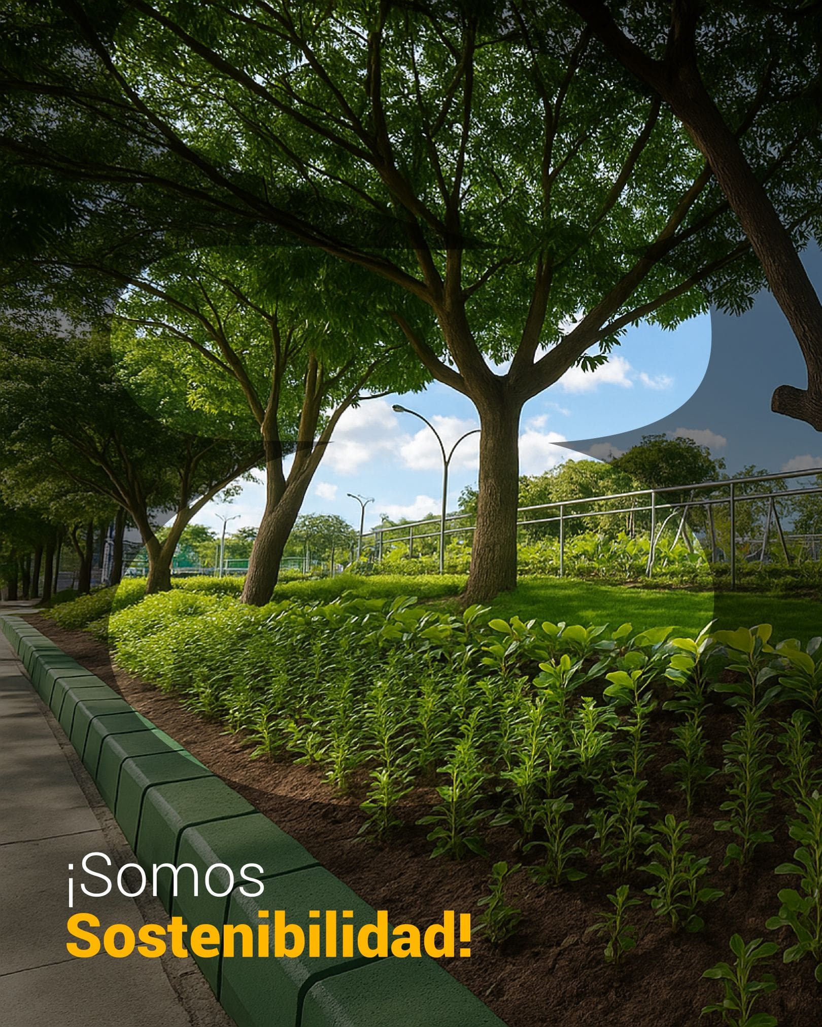 Somos Sostenibilidad Somos Sostenibilidad